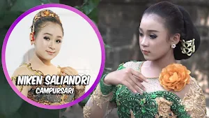 Lagu campur sari jawa timur Screenshot 0