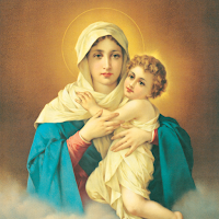 Virgen Peregrina Digital