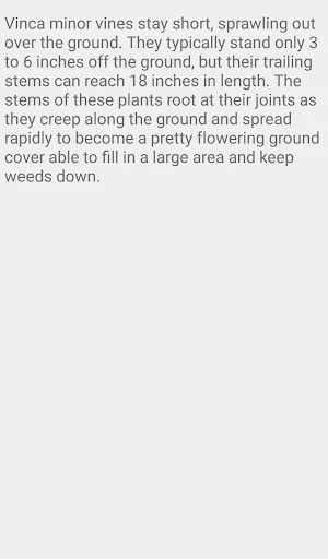 Creeping Myrtle Screenshot 3