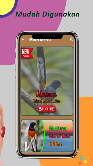 Masteran Murai Batu Offline Screenshot 3