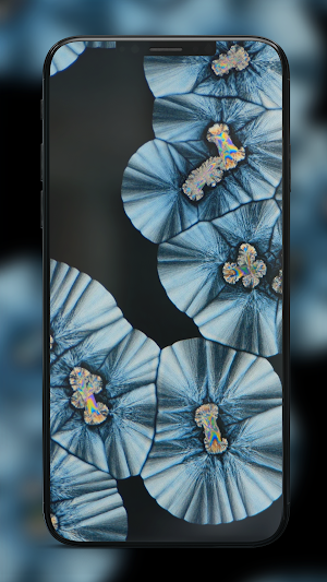 Wallpapers for MIUI 14 Screenshot 1