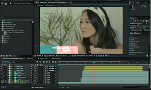 Adobe After Effects: Tutorial Screenshot 1