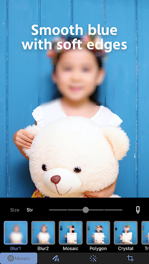 Photo Blur & Mosaic Effects Screenshot 2