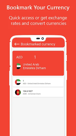 Currency Converter Screenshot 2