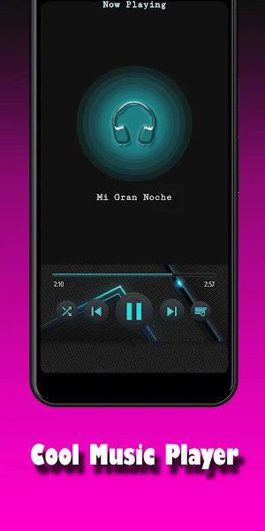 RAPHAEL Canciones y Letras Screenshot 3