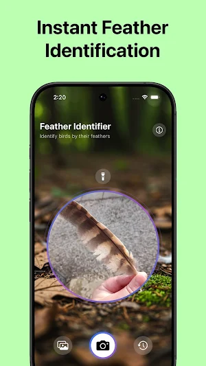 Feather Identifier Screenshot 1