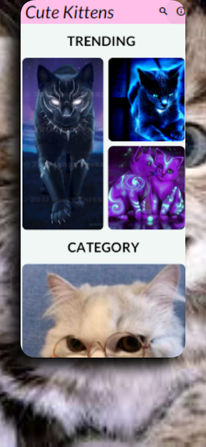 Cute Kittens Wallpaper HD/4k Screenshot 3