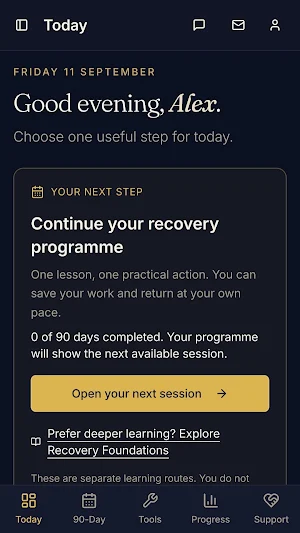Insight Recovery Screenshot 0