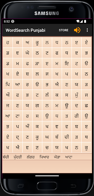 WordSearch - Punjabi Screenshot 2
