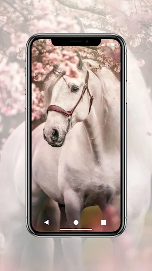 Horse Wallpaper HD Screenshot 2