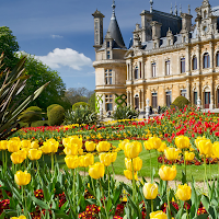 garden wallpaper