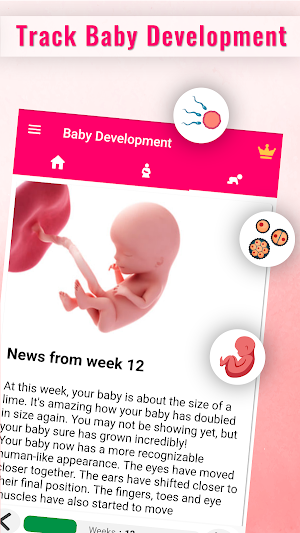 Pregnancy Calculator -Track Pregnancy Week by Week Screenshot 3