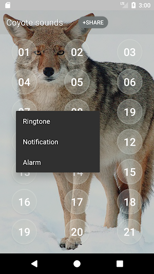 Coyote (Animal) Sounds Screenshot 2