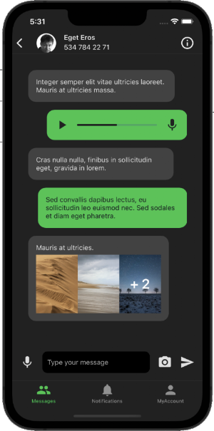 Zeymur Messaging Template XF Screenshot 3