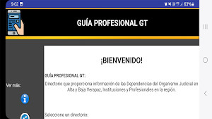 Guia Profesional GT Screenshot 3