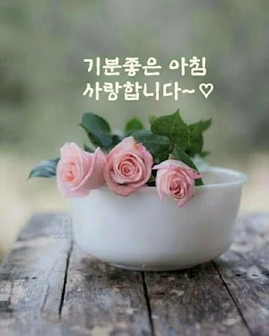 안녕하세요 Screenshot 1