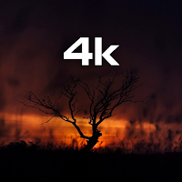 2023 wallpapers HD