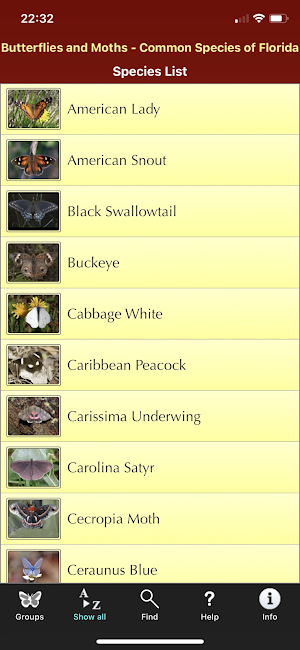 Southern Florida Butterflies Screenshot 1