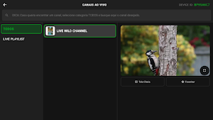 BrasilPlay Screenshot 2