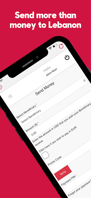 MillionBridges: Money Transfer Screenshot 0