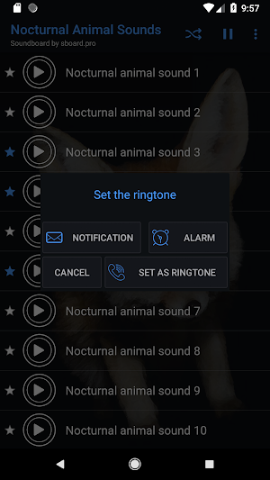 Nocturnal animal sounds ~ Sboard.pro Screenshot 2