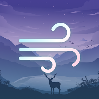 Breathe, Sleep, Focus: ZenAir