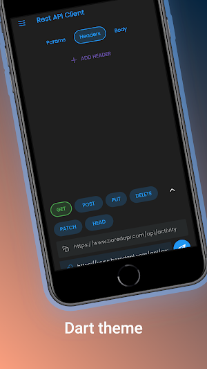 Rest API Client Screenshot 3