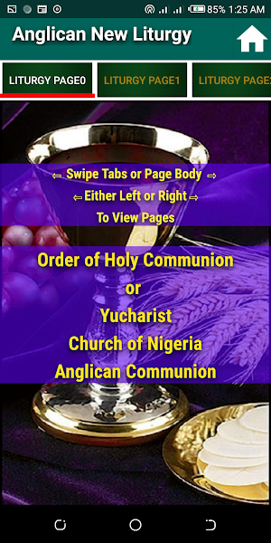 Anglican New Liturgy Book Screenshot 2