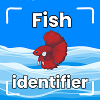 Fish Identifier: Betta & Koi