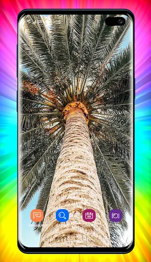 Palm Tree Wallpapers Screenshot 2