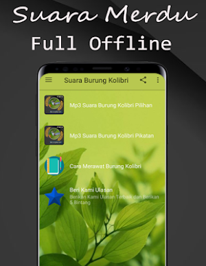 Suara Burung Kolibri Pikat Screenshot 2