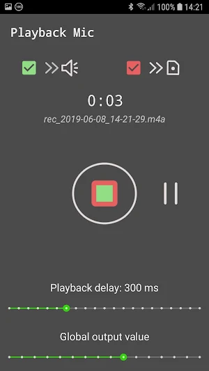 Playback Mic - Microphone with monitoring Screenshot 3
