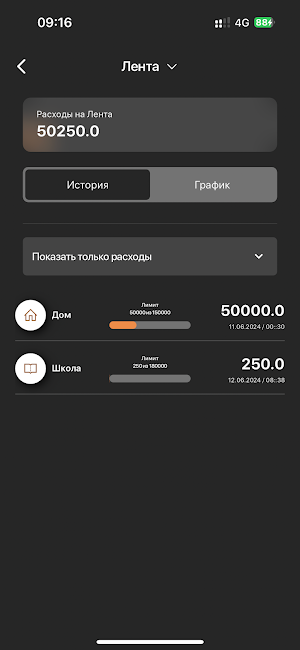 Fin Planner Screenshot 2