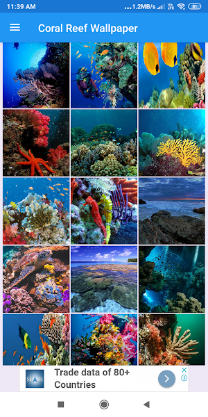 Coral Reef HD Wallpapers Screenshot 0