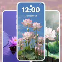 Lotus Wallpaper 4K