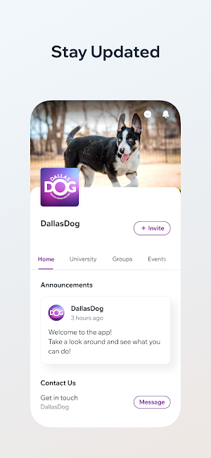 Dallas Dog Screenshot 2