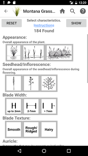 Montana Grasses Screenshot 1