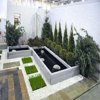 Fish Of Ponds Design