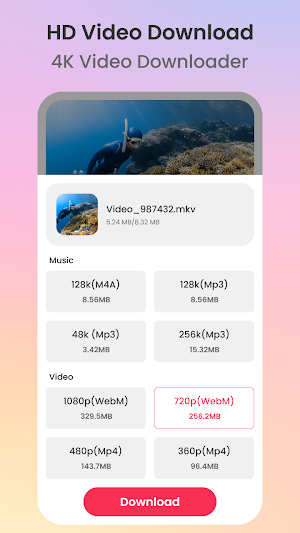 All Video Downloader Screenshot 2