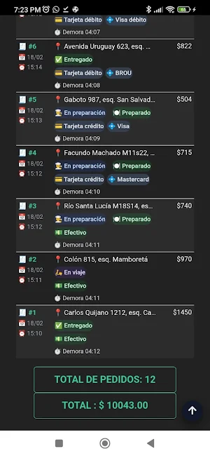 Delivery DS Screenshot 2