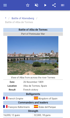 Battles of napoleonic wars Screenshot 2
