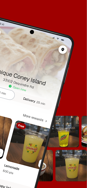 Unique Coney Island Screenshot 1
