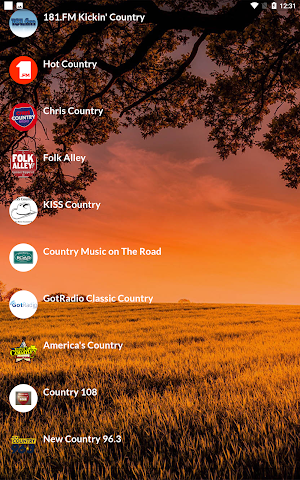 Country Radios Live Screenshot 3
