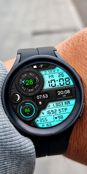 DIGI QUARTON WS22 Watch face Screenshot 3