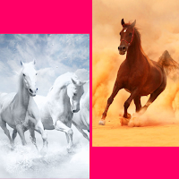 running horse wallpaper hd