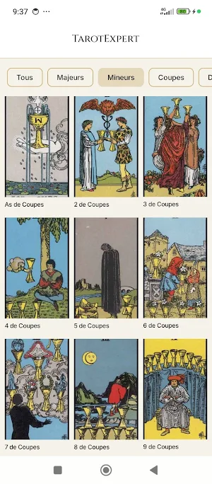 Tarot Expert Screenshot 1