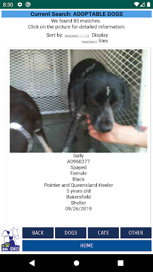 Kern County Animal Services Screenshot 3