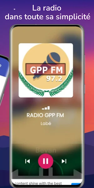 NetFM Guinee Screenshot 1