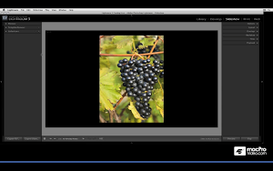 Core Course for Lightroom by macProVideo Screenshot 3