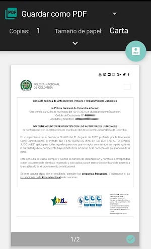Certificado Judicial Screenshot 2